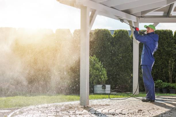Best Building Exterior Washing  in Rising Sun Lebanon, DE